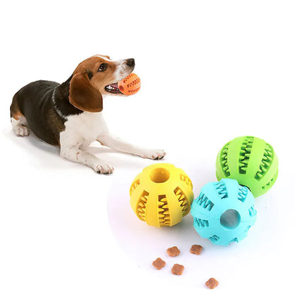 SnackChew -  Hundespielzeug
