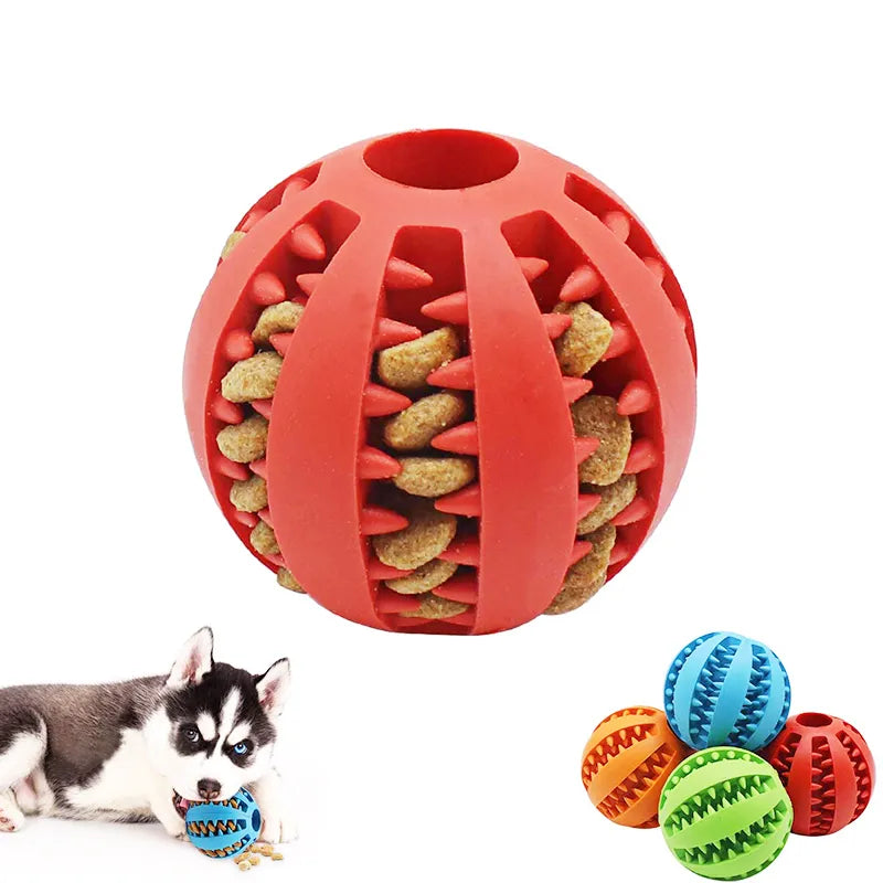 SnackChew -  Hundespielzeug